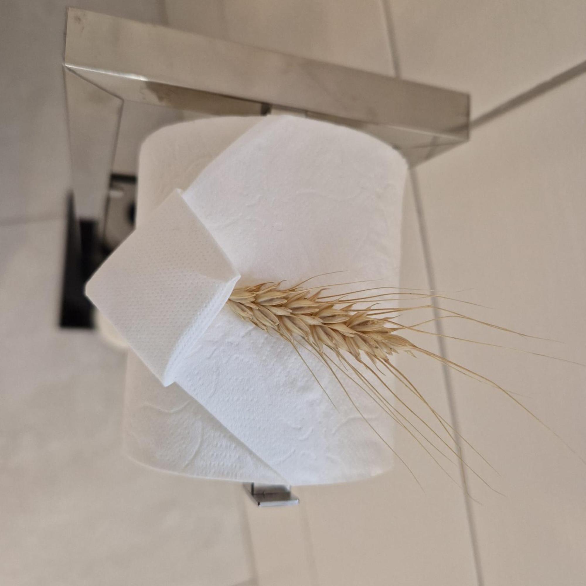 Chambres D'Hotes Chez Linda Stephane Le Passe Compose Preuschdorf Luaran gambar