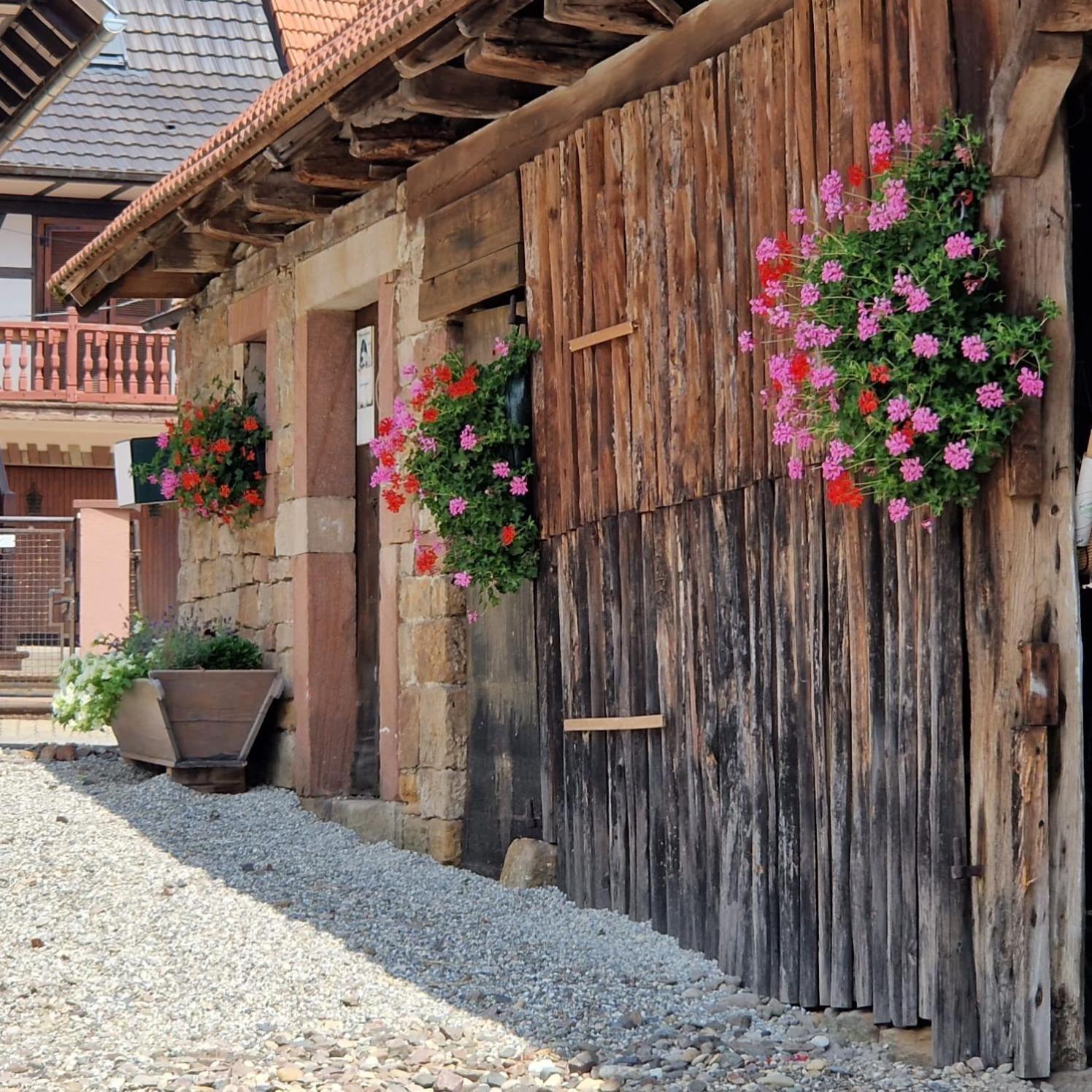 Chambres D'Hotes Chez Linda Stephane Le Passe Compose Preuschdorf Luaran gambar